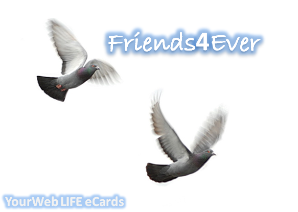 Friends4Ever